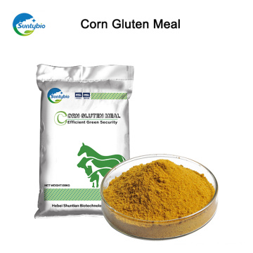 Golden Yellow Corn Gluten Meal 60% proteína